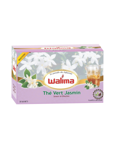 Infusion Thé Vert Jasmin WALIMA