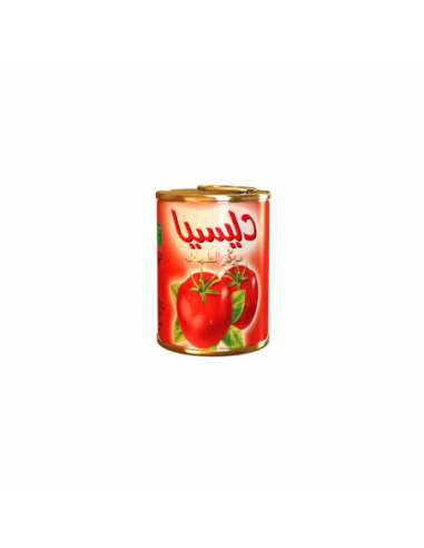 Tomate concentrée DELICIA 140g